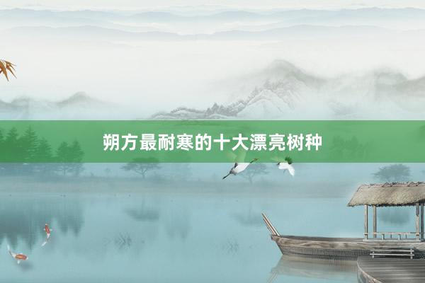朔方最耐寒的十大漂亮树种