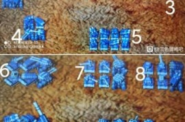 蓝色警戒通常指的是一款经典的即时战略（RTS）游戏系列，全称为蓝色警戒（英文名，Alert）。它在中国玩家群体中非常有名，以其独特的设定、硬核的玩法和较高的难度著称